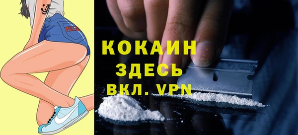 2c-b Бородино