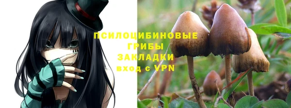 apvp Бронницы