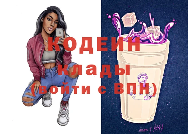 2c-b Бородино