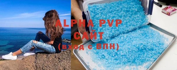 ГАЛЛЮЦИНОГЕННЫЕ ГРИБЫ Богданович