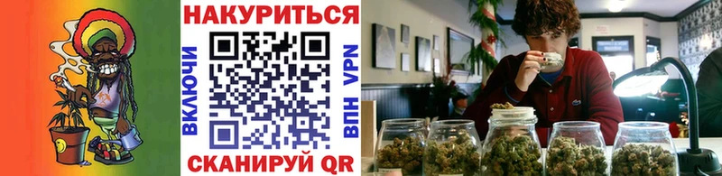 OMG маркетплейс  Новоржев  Каннабис AK-47 